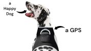 Pet Tracker Realtime GPS Dog Tracking System Waterproof Pocket Pet Finder Size:L