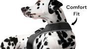 Pocket Dog Collar with GPS Mini Tracking Tool for Live Pet Monitoring Size:M