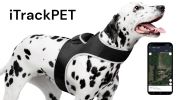 Pocket Dog Collar with GPS Mini Tracking Tool for Live Pet Monitoring Size:M