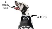 Universal Pet Tracking Collars Realtime GPS Tracker Waterproof Locator Size:XS