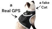 Cheap GPS Tracking Device Realtime Pet Location Finder with Rechargeable Battery Size:M