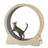 Cat Exercise Wheel - Indoor Cat Treadmill with Carpeted Running Track, Safety Cat Treadmill with Latch, Weighted Wheel for Cats