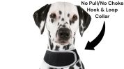 Universal Pet Tracking Collars Realtime GPS Tracker Waterproof Locator Size:XS