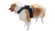 Collar Rechargeable Portable GPS Tracking Devices for Pets GSM Locator Size:L