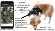 Cheap GPS Tracking Device Realtime Pet Location Finder with Rechargeable Battery Size:M