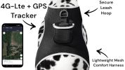 Cheap GPS Tracking Device Realtime Pet Location Finder with Rechargeable Battery Size:M