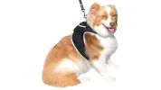 Realtime Pet Tracking w/ Pet Tracker GSM GPS Collars for Dogs Waterproof Size:XS