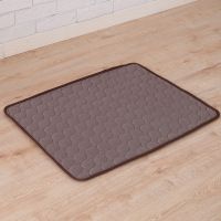 Pet Dog Cat Ice Silk Cold Nest Pad For Cooling In Summer (Option: Brown-63x50cm)